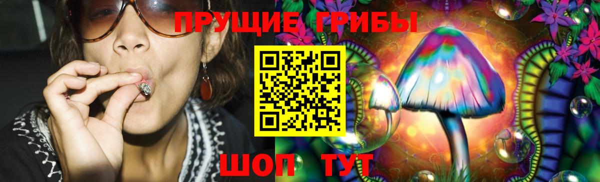 Псилоцибиновые грибы Psilocybe  Галлюциногенные грибы прущие грибы  Вход с VPN  Благодарный 